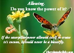 Allowing butterfly